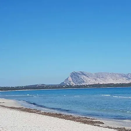 Con Vista A Mare Alba Ruja