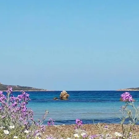 Con Vista A Mare Alba Ruja *
